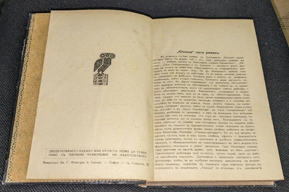 Антикварна книга: Юноша от Ф. Достоевски - Image 4