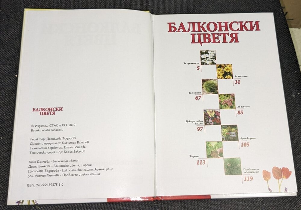 Балконски цветя, 2010г, част 2 - Image 2