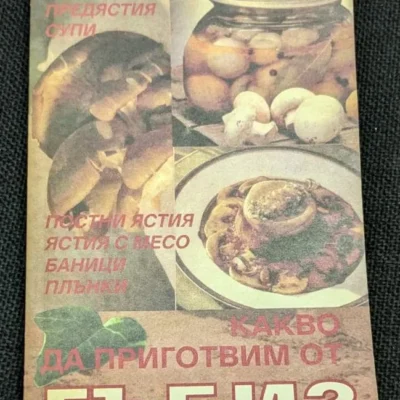Корица на книгата "Какво да приготвим от гъби" от 1992 г. с 180 избрани рецепти, тънки корици.