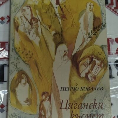 Сборник с разкази, озаглавен „Цигански късмет“, представящ сцени от живота в България по време на прехода.