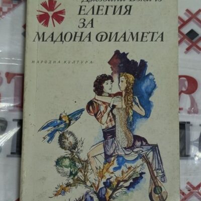 Елегия за Мадона Фиамета