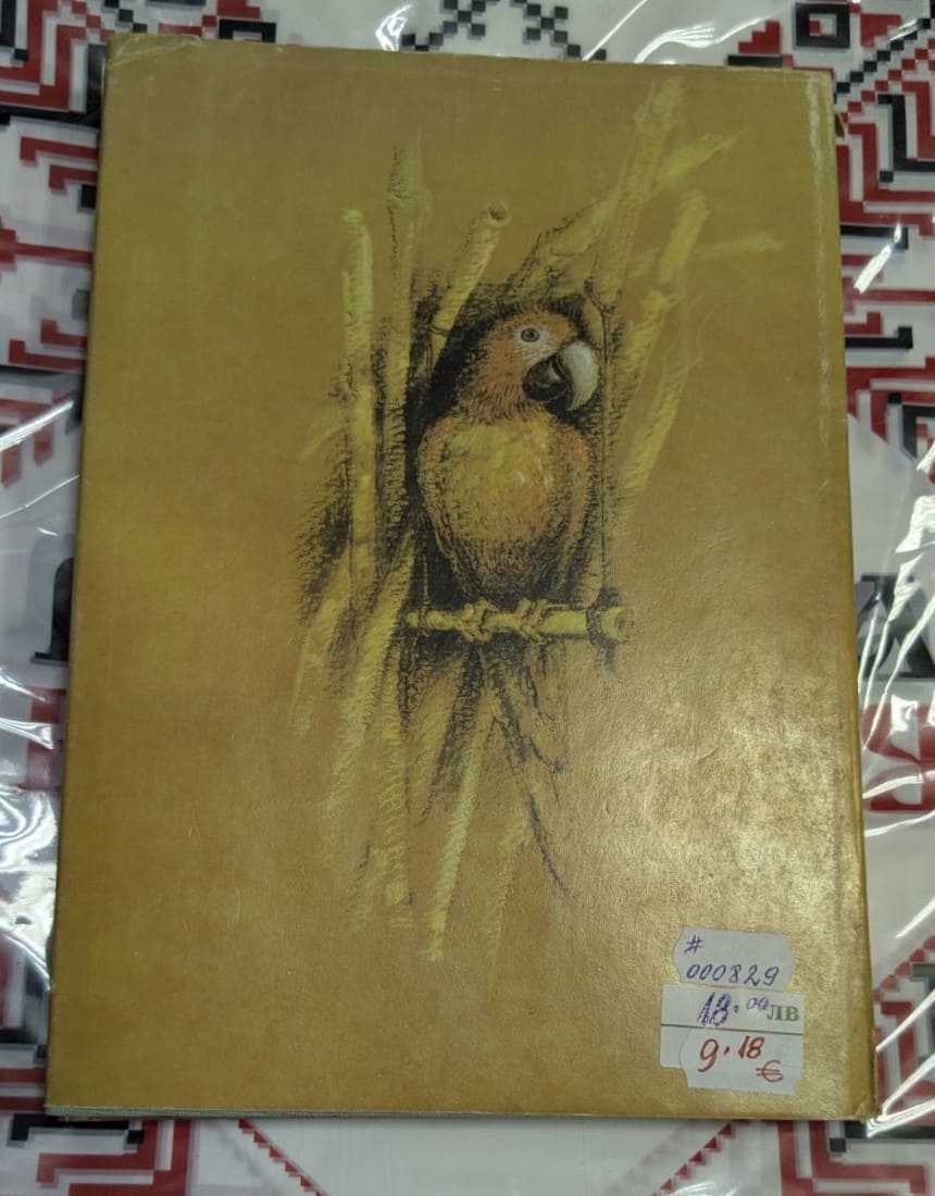 Животът и приключенията на Робинзон Крузо - Image 4