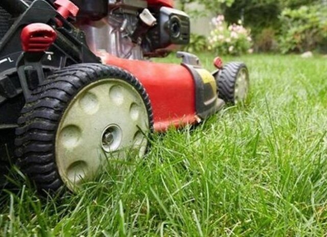 Как да разкрасим външния вид на дома